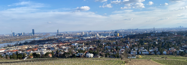 View over Vienna