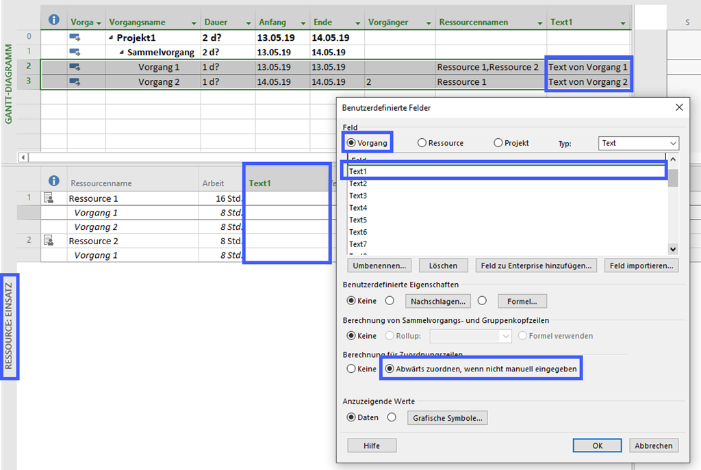 Project Benutzerdefinierte Felder in andere Entität kopieren  Copy Custom Fields to Other Entity