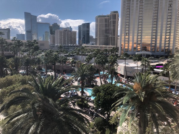 20190519_233406184_iOS