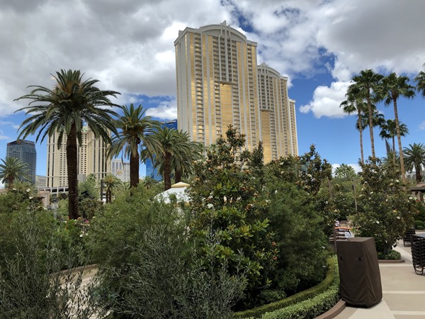 20190520_192237442_iOS