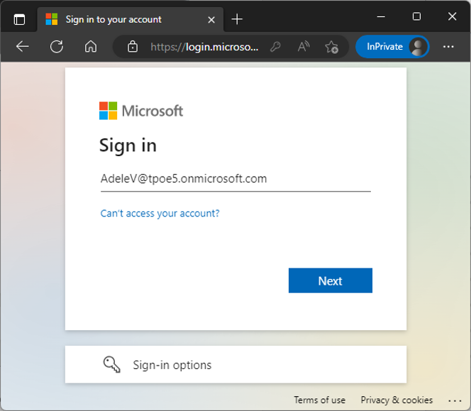 Sign in to the website as a guest user of our Azure AD tenant.
